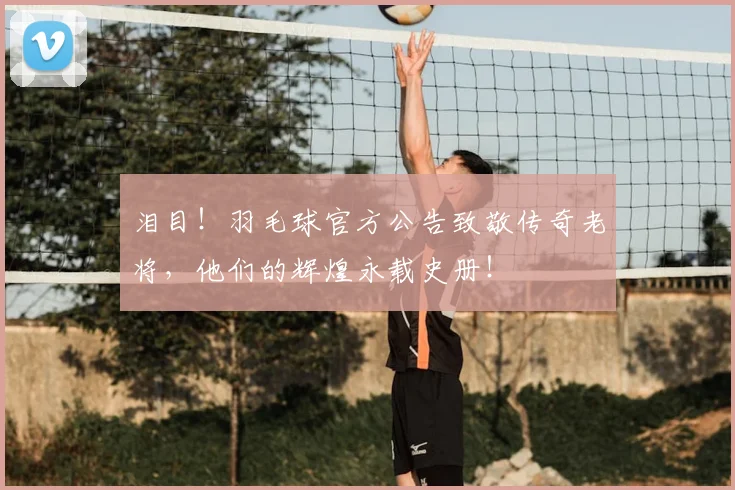 泪目!羽毛球官方公告致敬传奇老将,他们的辉煌永载史册!