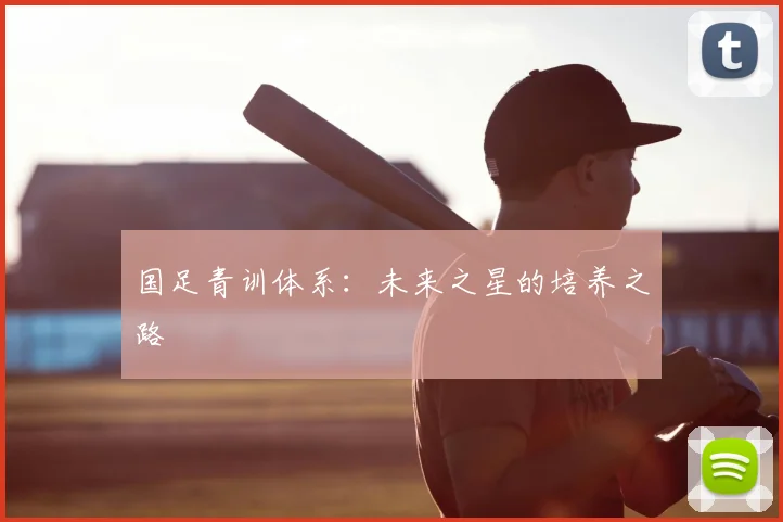 国足青训体系:未来之星的培养之路